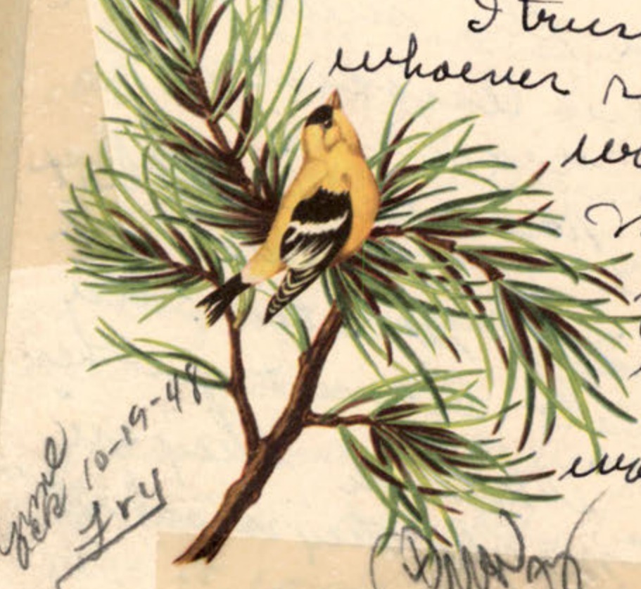 Illustration of a bird on a pine branch.