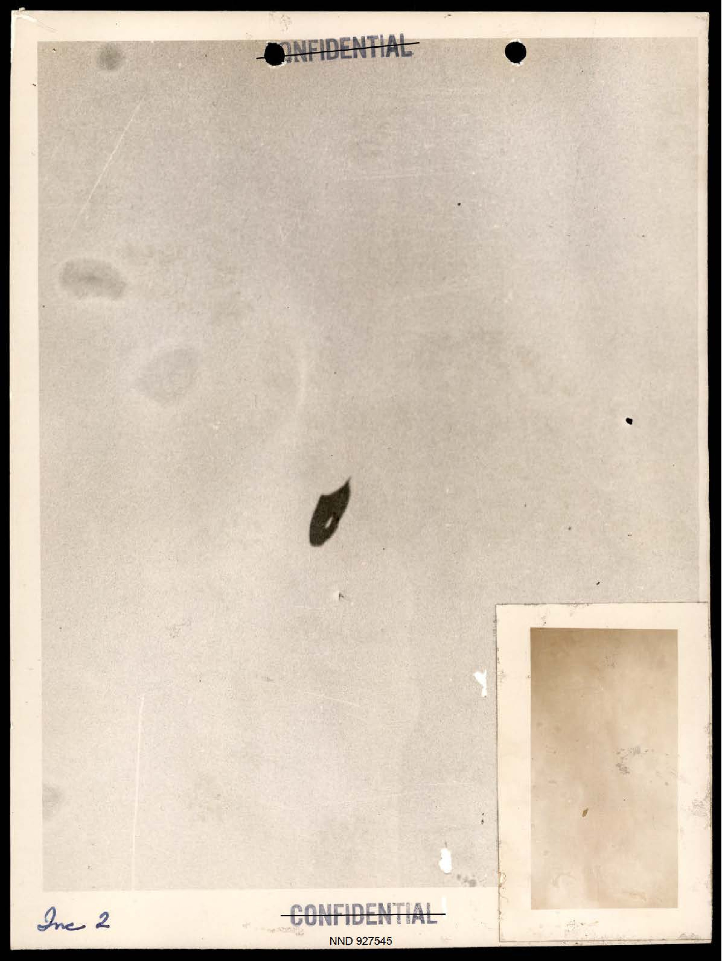 Photograph of a dark, teardrop-shaped object against a light background.