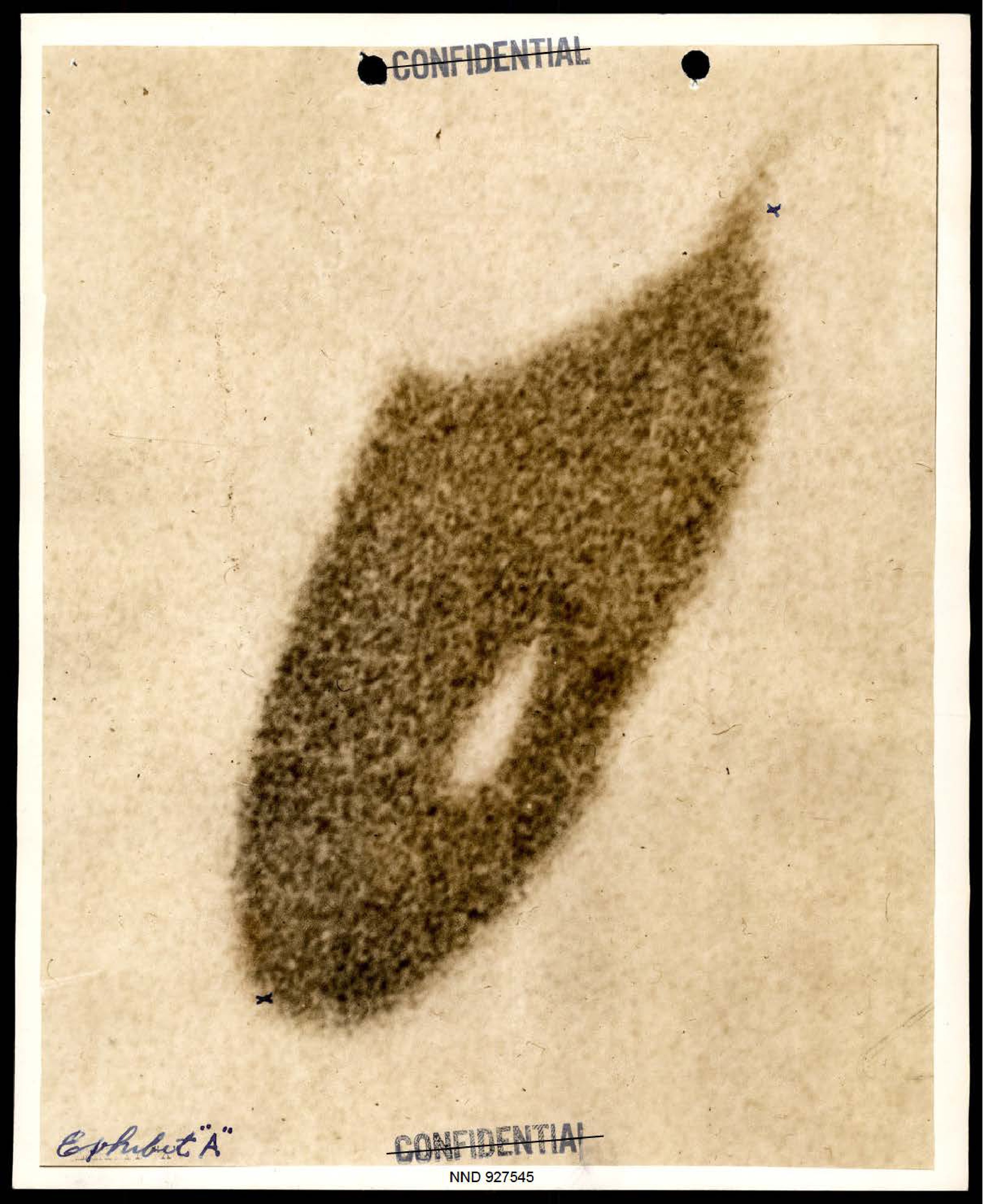 Enlarged photograph of a dark, teardrop-shaped object, labeled Exhibit 'A'.