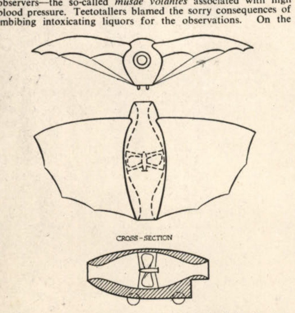 CROSS-SECTION